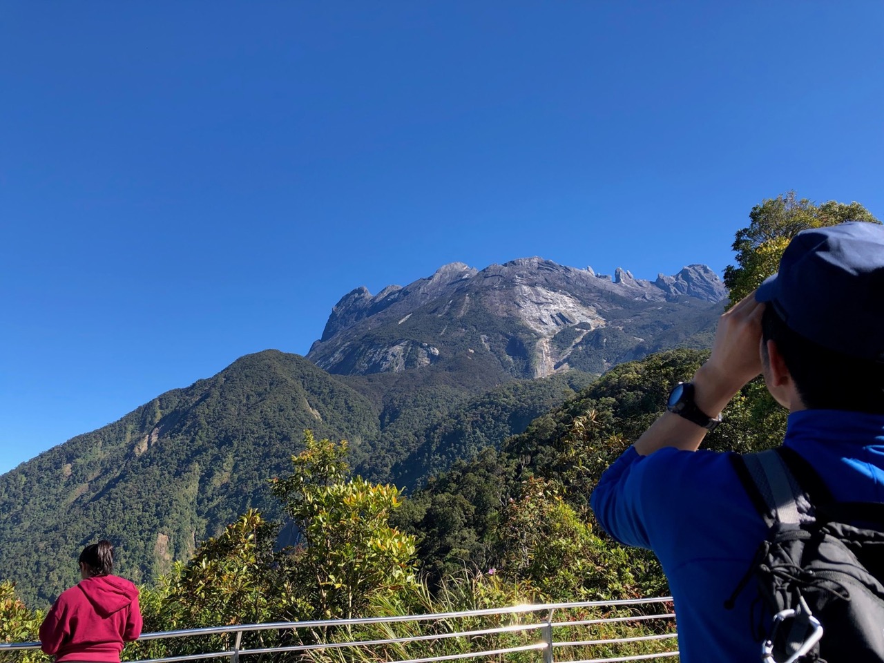 マレーシア キナバル山の植生 さくら庭園株式会社 マレーシア キナバル山の植生 さくら庭園株式会社