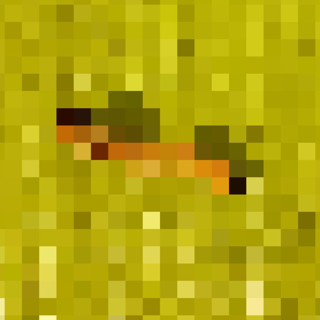 リンゴカミキリ　モザイク