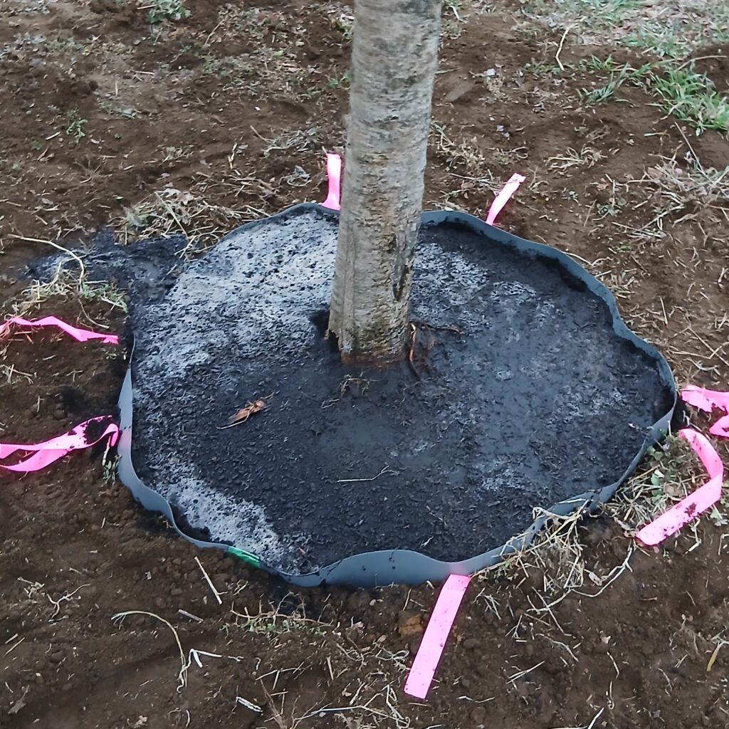 アゼシート+バーク堆肥